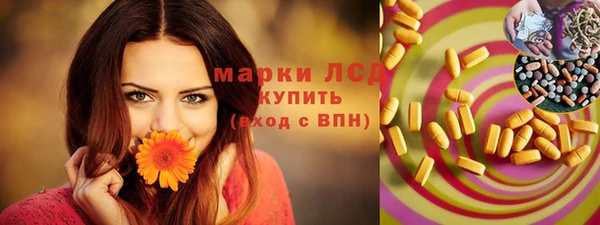 ешки Аркадак