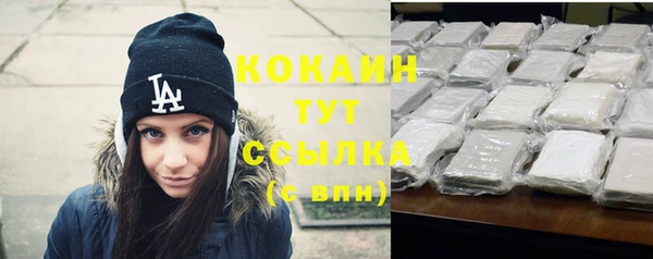 ешки Аркадак