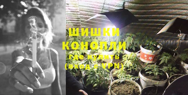 ешки Аркадак