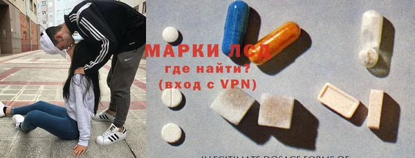 ешки Аркадак