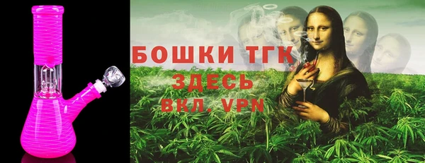 ешки Аркадак