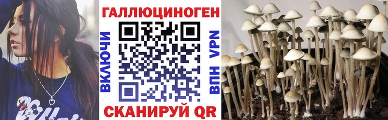 Псилоцибиновые грибы Psilocybine cubensis  Купить  Дедовск 